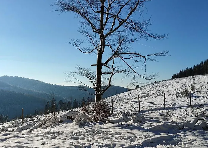 度假居 Obordubleu Lusse