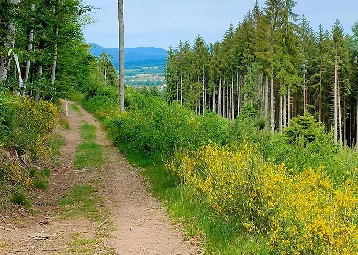 Obordubleu 度假居