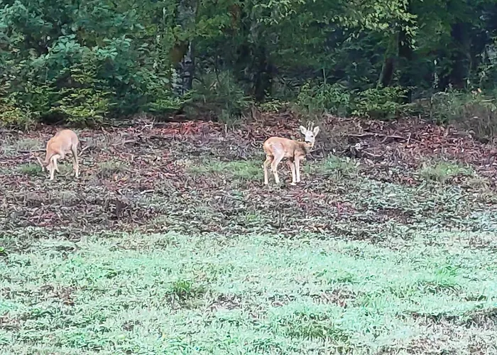 Obordubleu 度假居 *